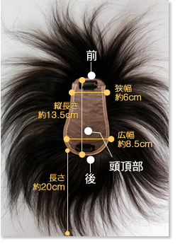 �w�A�s�[�X100B�u�[���^�C�v