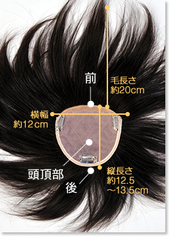 �w�A�s�[�X200BR�u�[���^�C�v